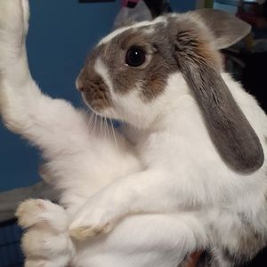 Meet your Posher, Nick